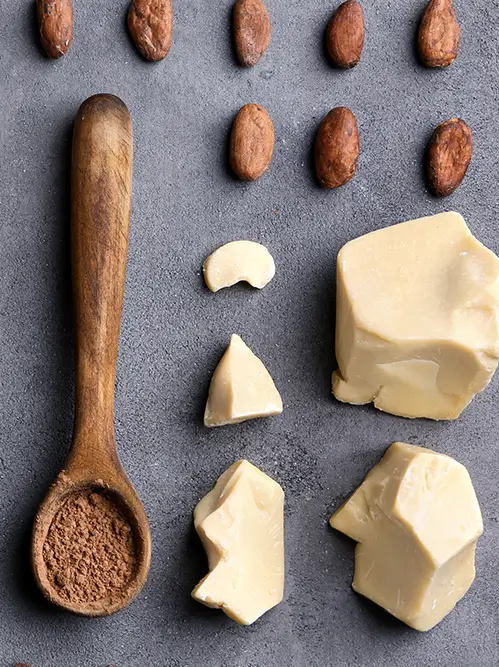 Fournisseur de beurre de cacao