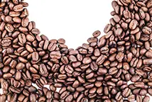 Grossiste café Robusta Grossiste café Robusta