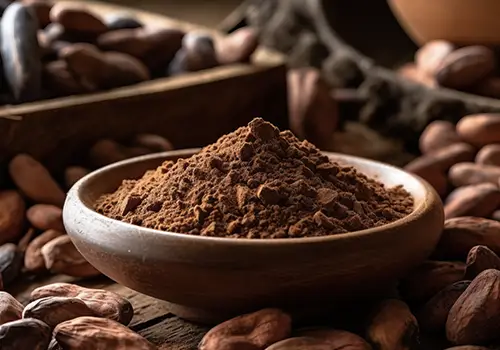 Importateur poudre CACAO alcalinise