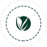 Nanou, un lien direct avec les acteurs du domaine agricole Nanou, un lien direct avec les acteurs du domaine agricole