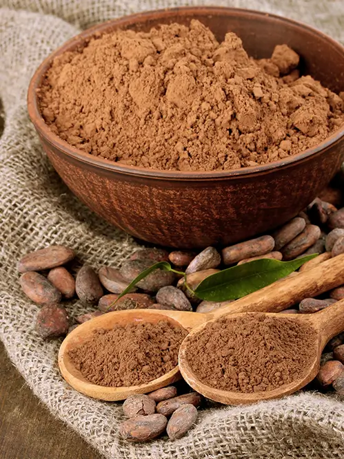 Fournisseur de poudre de CACAO alcalinisé