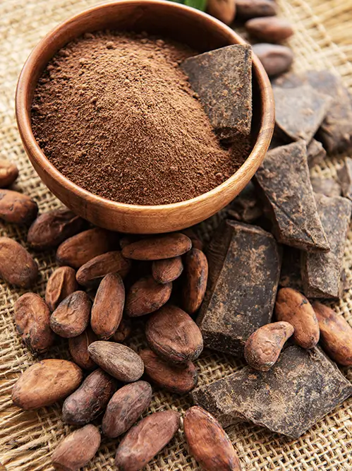 Fournisseur poudre de CACAO