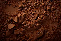 Grossiste poudre CACAO
