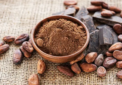 Importateur poudre de CACAO