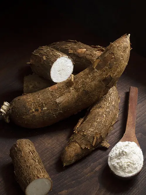 fournisseur de manioc en poudre