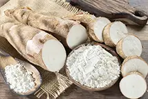 Grossiste manioc en poudre