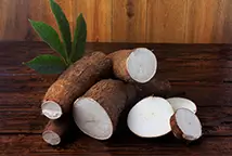 Grossiste manioc séché