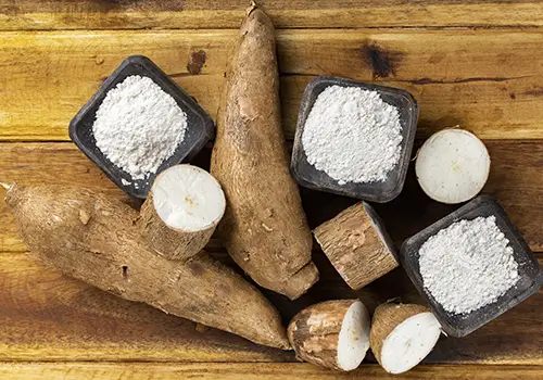 Importateur de manioc en poudre